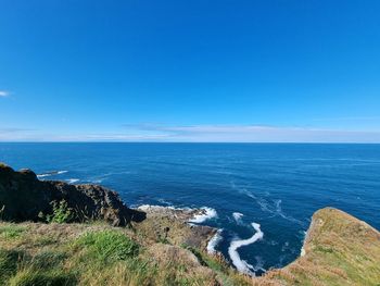 A lovely summer walk along the coast in banffshire at rspb scotland troup head