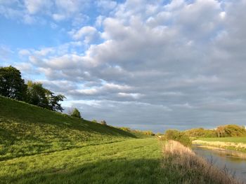 Scenic view of agricultural field against sky