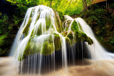 Close-up of waterfall against trees