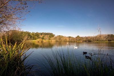 Scenic view of calm lake