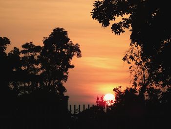 Silhouette trees against orange sky