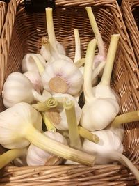 Close-up of white flowers in basket