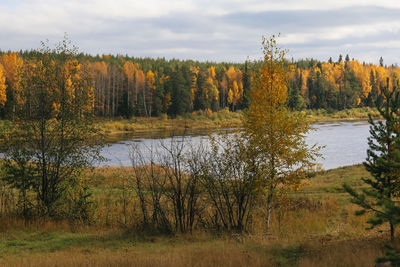 Scenic view of lake in forest against sky during autumn