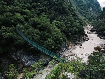 High angle view of stream amidst trees in forest