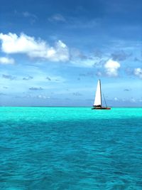 Sailboat sailing on sea against sky