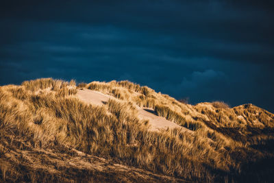 Dunes and dark clouds