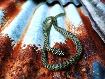 Close-up of heart shape on rusty metal