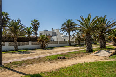 View of palm trees and buildings against sky