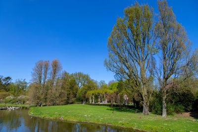 Scenic view of lake against clear blue sky