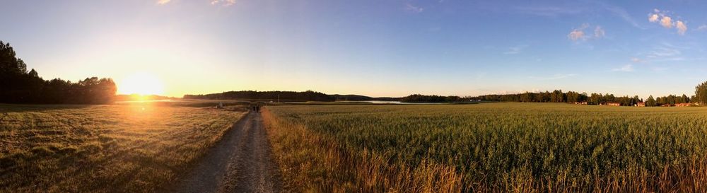 Scenic view of field against sky during sunset