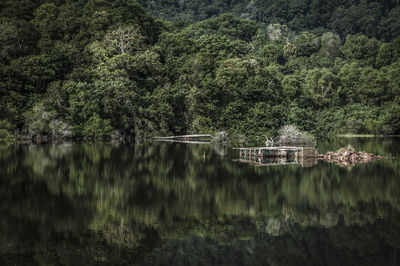 Trees by lake against sky