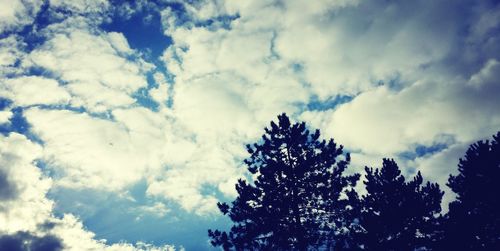 Low angle view of trees against cloudy sky