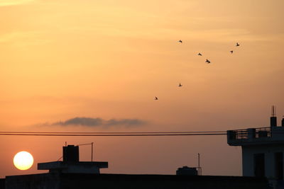 Low angle view of birds flying in sky