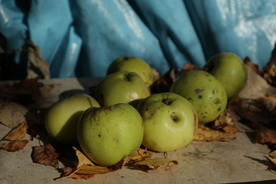 Close-up of apples and leaves on field