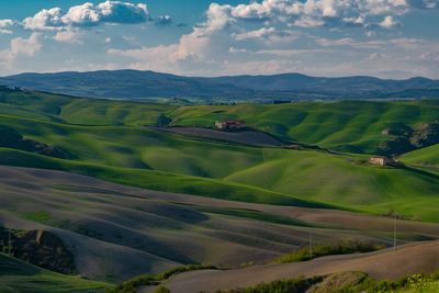 Scenic view of agricultural field against sky