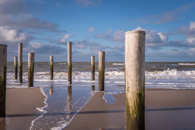 Petten, the netherlands. march 3, 2021. wooden poles at the beach, petten aan zee, the netherlands.