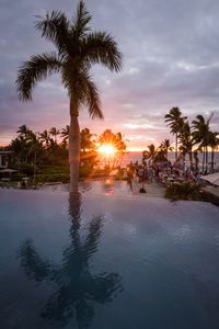 Palm trees on beach against sky during sunset