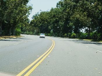 Empty road along trees