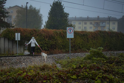 Rear view of man standing by road against sky