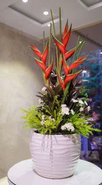 Close-up of potted plant on table at home