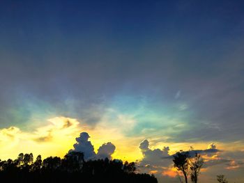 Low angle view of silhouette trees against sky