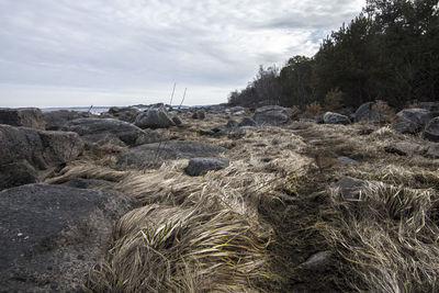 Scenic view of beach against sky