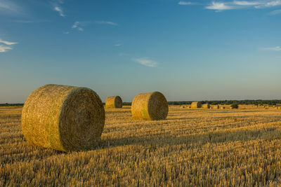 Huge straw bales on stubble and evening blue sky