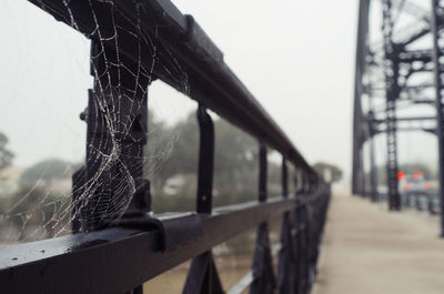 Close-up of spider web on railing
