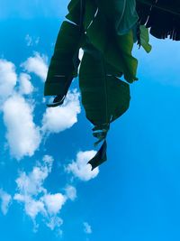 Low section of woman against blue sky