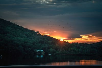 Silhouette trees by river against sky during sunset