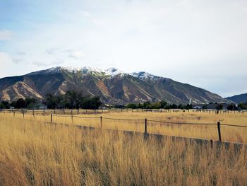 Scenic view of field and mountains against sky