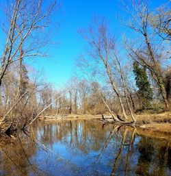 Reflection of bare trees in lake against sky