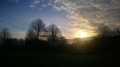 Silhouette trees against sky during sunset