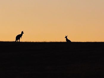 Silhouette of two people standing on field