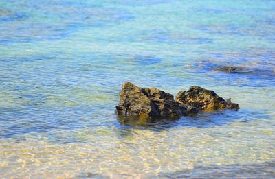 Surface level of a rock in sea