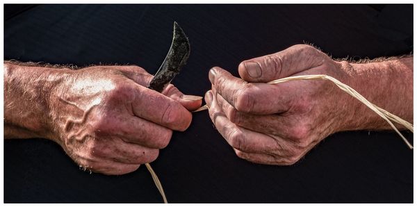 Close-up of hand holding leaf against black background