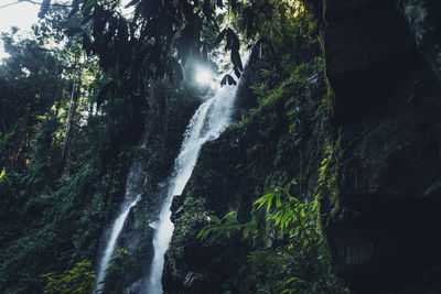 Scenic view of waterfall