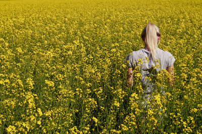 Yellow flowers growing in field