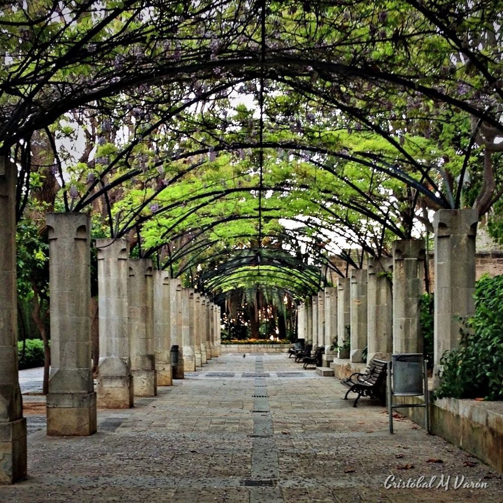 Palma de Mallorca