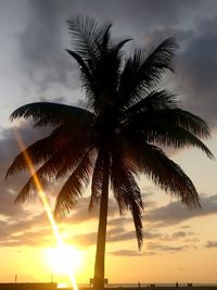 Low angle view of palm tree against sunset sky