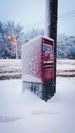 Snow covered trees on field