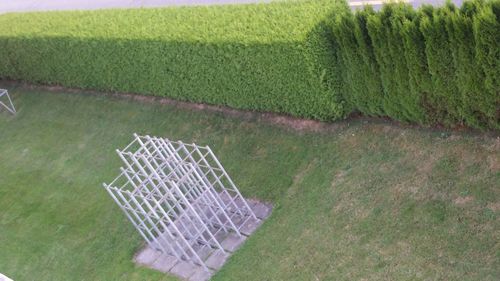 High angle view of grass