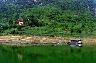 Scenic view of rural landscape