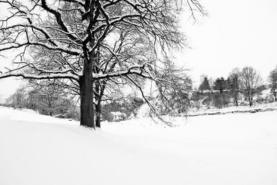 Bare trees on snow covered field against sky