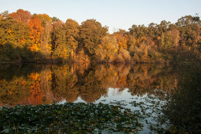 Scenic view of lake by trees during autumn