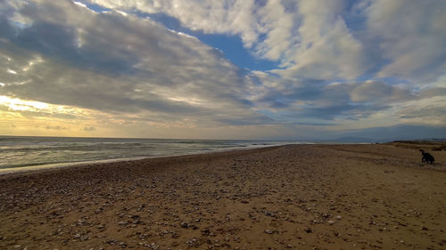 Scenic view of beach against sky during sunset