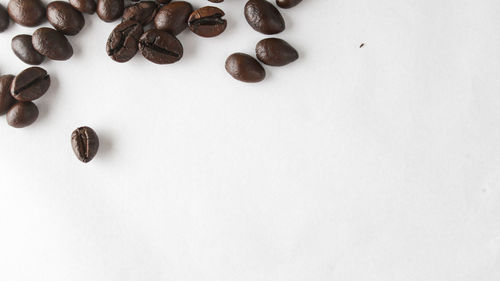 High angle view of coffee beans on white table