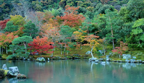 Scenic view of lake