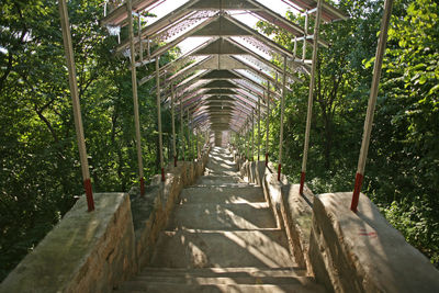 View of footpath amidst trees