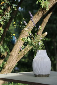 Close-up of purple flowering plant